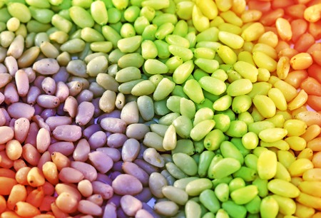 Pine nuts from pine trees photographed close upの写真素材