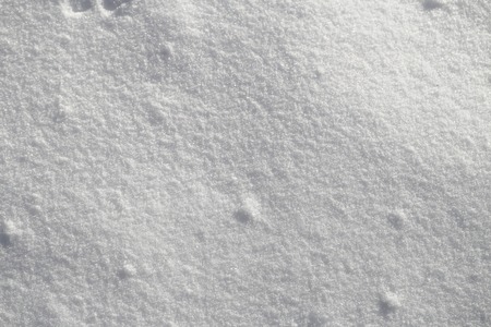 White beautiful snow a photographed close upの写真素材