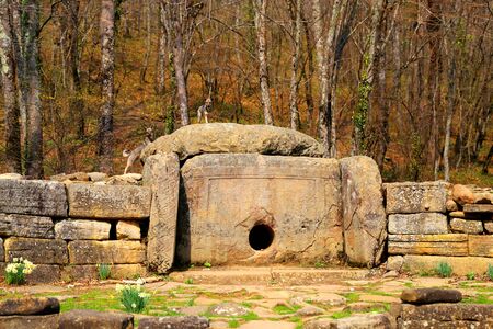 Close-up photo of a dolmen on the coast of Gelendzhikの写真素材