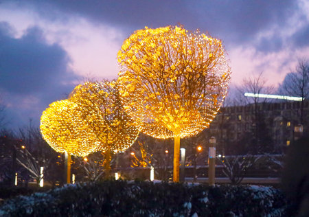 Golden trees with beautiful illumination glow with a bright light against the dark skyの写真素材