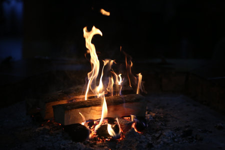 fire in a bonfire with wooden logs was photographed at night in close-upの写真素材