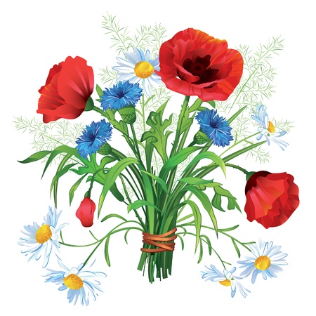 Colorful  Summer bouquet of wildflowers on a white backgroundのイラスト素材