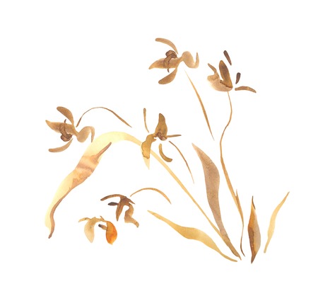 Wild Orchid flower watercolor painting. Decorative floral art. Original Chinese style aquarelle drawing on white backgroundのイラスト素材