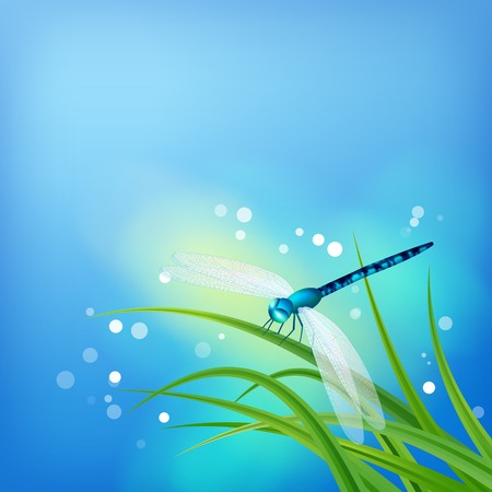  Dragonfly on grass blade  Summer abstract blue backgroundのイラスト素材