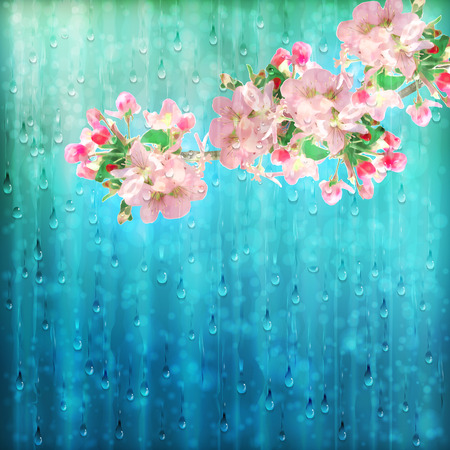 Spring vector flowers cherry blossoms on colorful rainy background with falling raindropsのイラスト素材