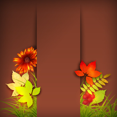 Vector autumn background with rowan berry and maple fall leaves, flowers, grassのイラスト素材