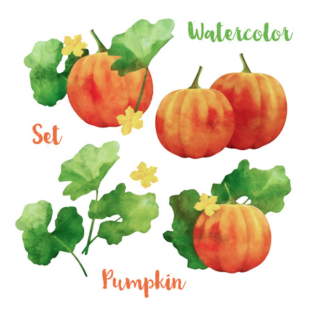Watercolor vector pumpkin painting set. Orange pumpkins with leaves on white backgroundのイラスト素材