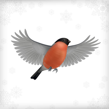 Winter vector Christmas card with flying bird bullfinchのイラスト素材