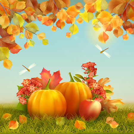 Autumn vector Thanksgiving Card with harvest, pumpkins, fallen leaves, tree branches, dragonflyのイラスト素材