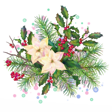 Christmas watercolor decorative composition with poinsettia flowers, Rowan, fir-tree and Holly branch on a white backgroundの写真素材