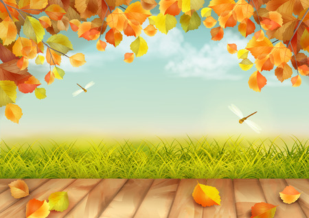Vector autumn landscape with grass, dragonflies, tree branches, textured wooden floorのイラスト素材
