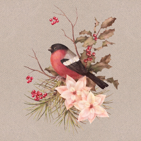 Christmas retro watercolor decorative composition. Bird bullfinch, poinsettia flowers with Rowan and Holly branchの写真素材