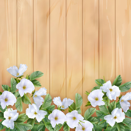 Background with White Flowersのイラスト素材
