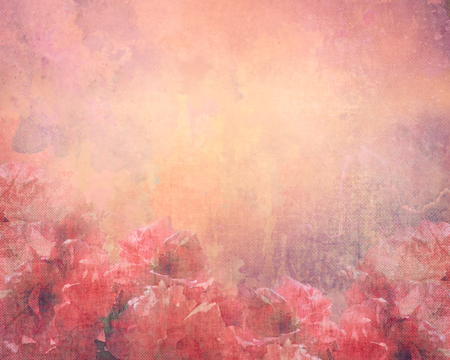 Roses on Canvasの写真素材