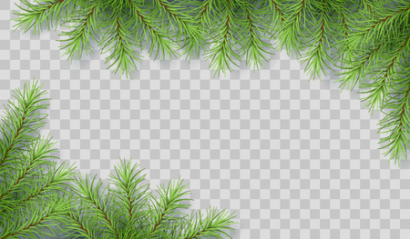 Pine Tree Branches Vector illustration.のイラスト素材