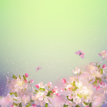 Spring Apple Blossomのイラスト素材