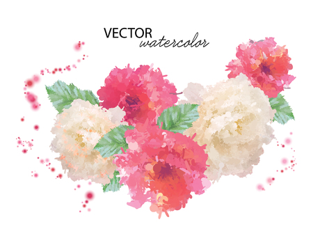 Watercolor Peony Flower Vector illustration.のイラスト素材