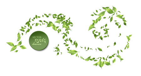 Green Flying Leavesのイラスト素材