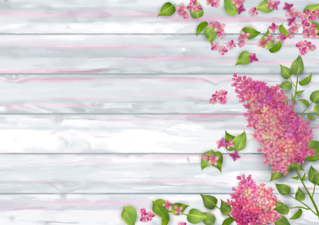 Spring Top View Background illustrationのイラスト素材