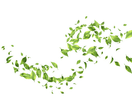Green Flying Leavesの写真素材
