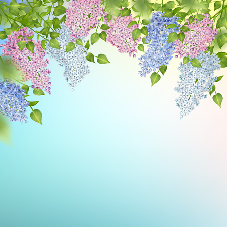 Branch of a Blossoming Lilacのイラスト素材