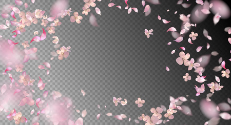 Vector pink flying petals with blurred defocused transparent detailのイラスト素材
