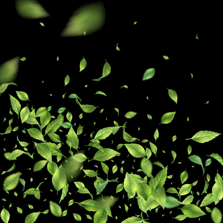 Green Flying Leavesのイラスト素材