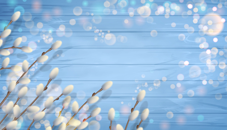 Vector spring background with pussy willow branches on a blue wooden backgroundのイラスト素材