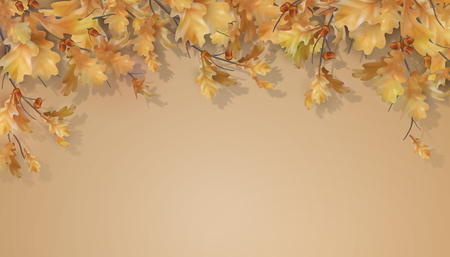 Oak branch with leaves and acorns on white background. Vector autumn illustrationのイラスト素材