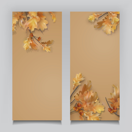 Oak branch with leaves and acorns on white background. Vector autumn bannersのイラスト素材