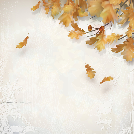 Oak branch with leaves and acorns on decorative plaster wall. Vector autumn illustrationのイラスト素材