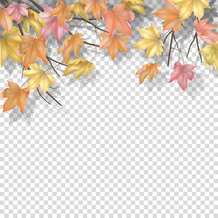 Decorative border with maple branches and autumn leaves on a transparent background. Vector fall illustrationのイラスト素材
