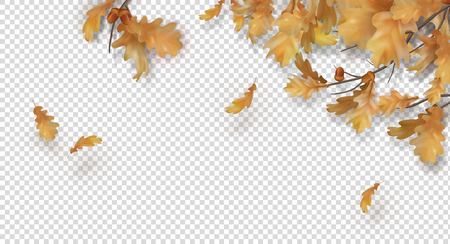 Decorative border with oak branches, autumn leaves and acorns on a transparent background. Vector fall illustrationのイラスト素材