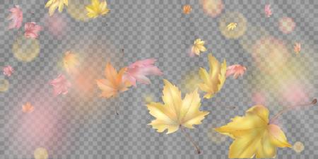 Abstract composition with flying autumn leaves. Vector background with blurred transparent elementsのイラスト素材