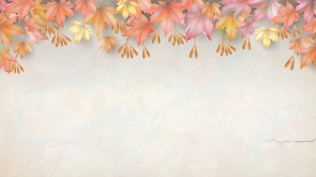 Autumn maple leaves and seeds on decorative plaster wall. Vector fall illustrationのイラスト素材