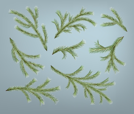 Set of realistic detailed Christmas tree branches. Vector fir branchesのイラスト素材