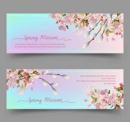 Spring Floral Banners. Abstract background with plum or cherry blossom and pussy willow branchesのイラスト素材