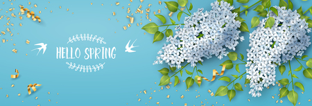 Spring Floral Backgroundのイラスト素材