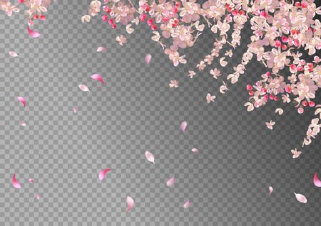 Flying petals on transparent background. Flowers and petals in the wind. Vector spring background with plum or cherry blossom. Hanging flowersのイラスト素材