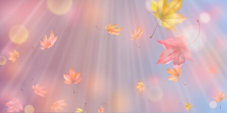 Falling Autumn Leavesの写真素材