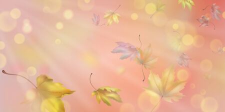 Falling Autumn Leavesの写真素材