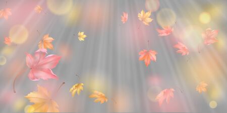 Falling Autumn Leavesの写真素材