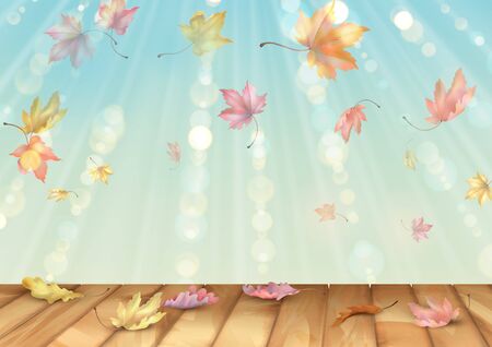 Fallen Autumn Leavesの写真素材