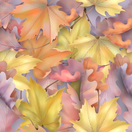 Autumn leaves backgroundのイラスト素材