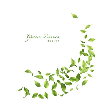 Leaves swirling in the windのイラスト素材