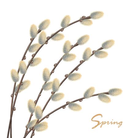 Spring Natural Backgroundのイラスト素材