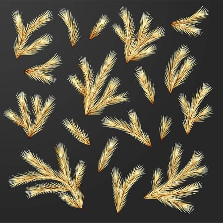 Set of Fir Branchesのイラスト素材
