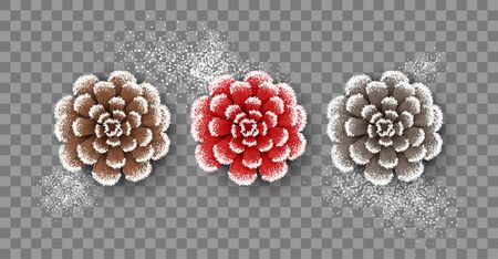 Set of pine cones in frost. Christmas decorations. The view from the topのイラスト素材