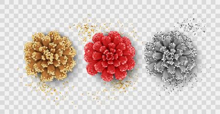 Pine Cones Setのイラスト素材