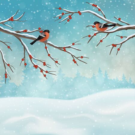 Christmas Holiday Winter Landscapeの写真素材